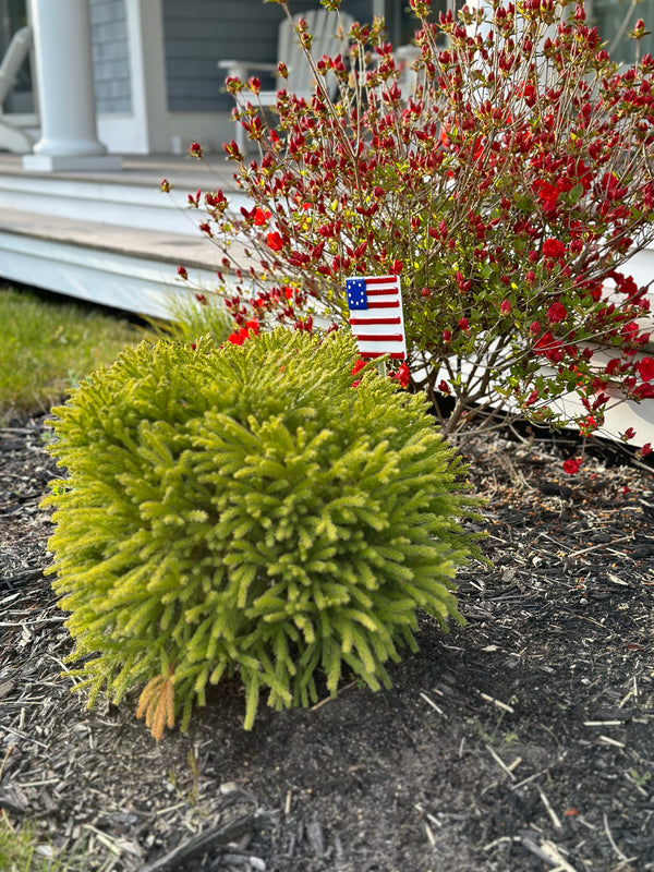 May Themes and Reflections
