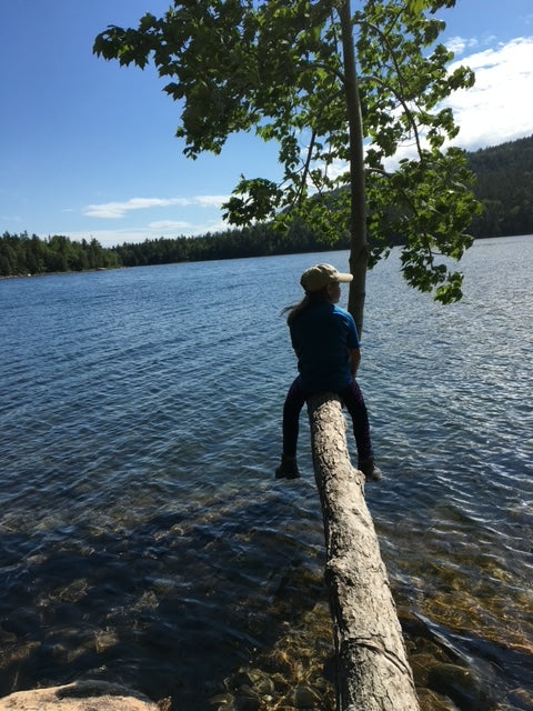 June Themes and Reflections